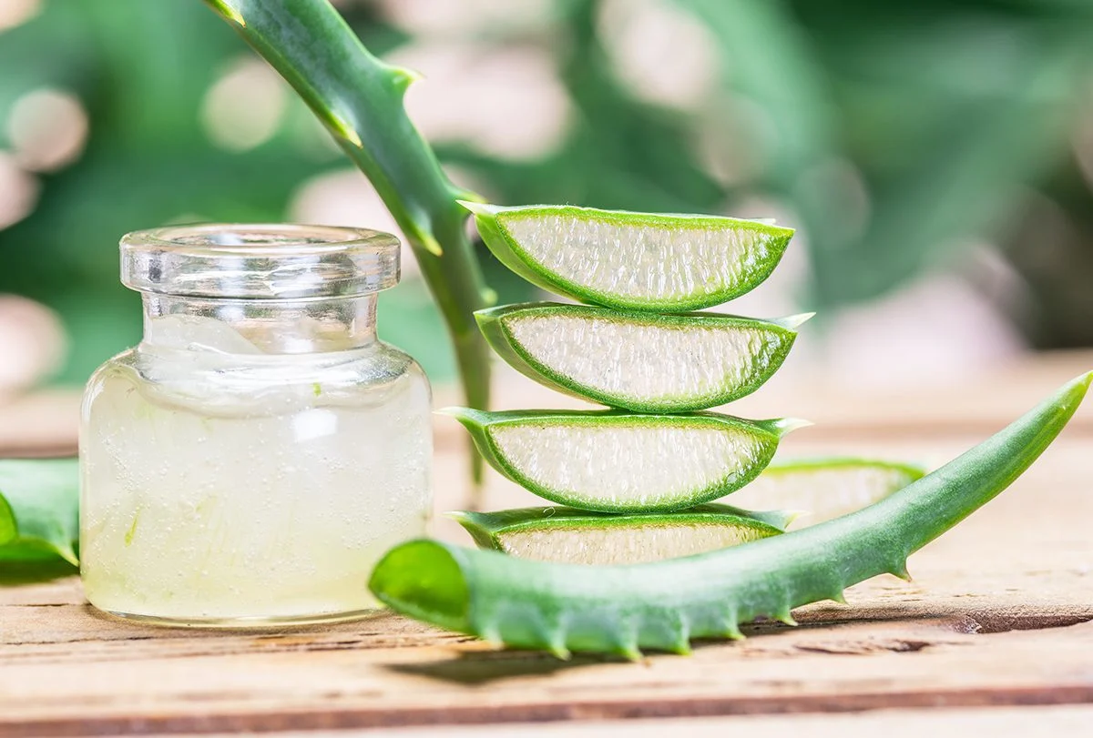 فواید آلوئه ورا برای پوست